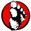 Barry Fontaine - Bigfoot Media
