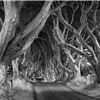 Bret Culp Photography - The Beauty Of Impermanence