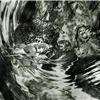 Exploring Photography Classes & Workshops - Toronto