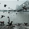 a p r i l  M A C I B O R K A  PHOTOGRAPHY