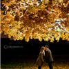 Calculated Style Photography