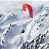 Wild Air Photography