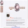 Don Mills Camera Club