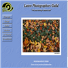 Latow Photographers Guild